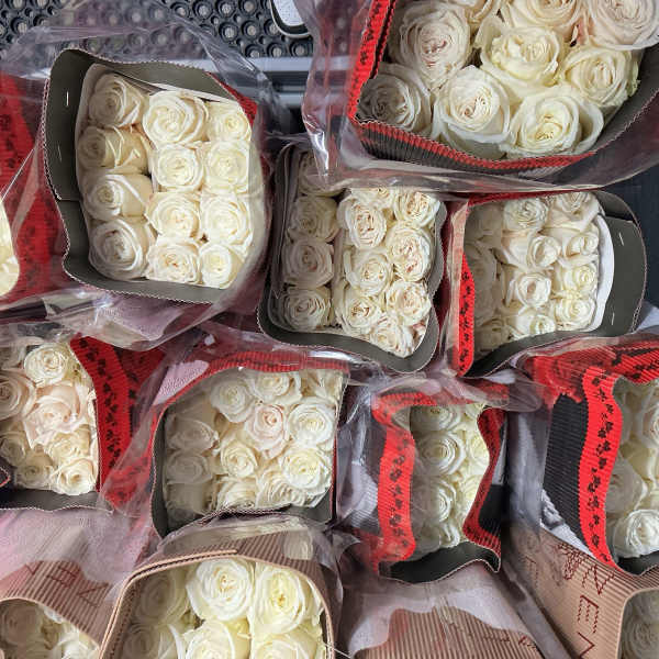 Bunch of white roses