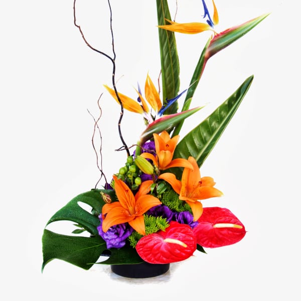 Tropical flower arrangement with orange birds of paradise and red anthuriums in a vase