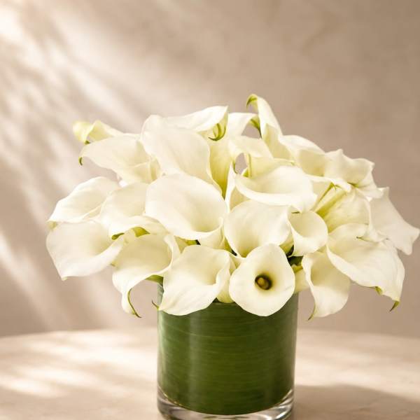 Ivory Calla Grace
