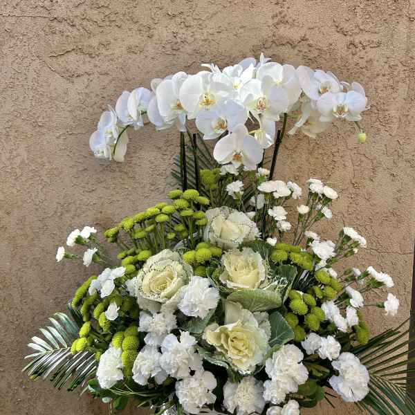 White orchids and mixed white-green flowers in a white basket