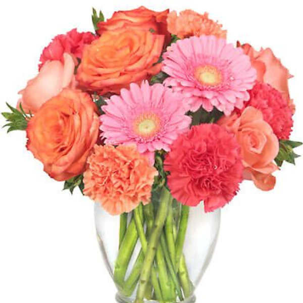 Petal Perfection
