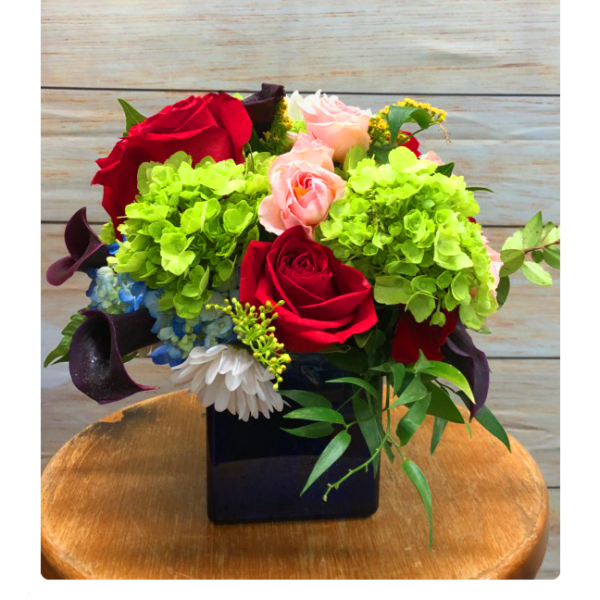 The Color Shot