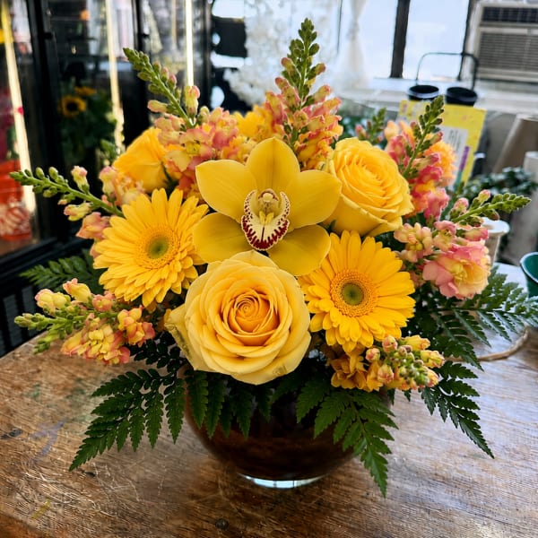 Yellow burst (for pets safe home)