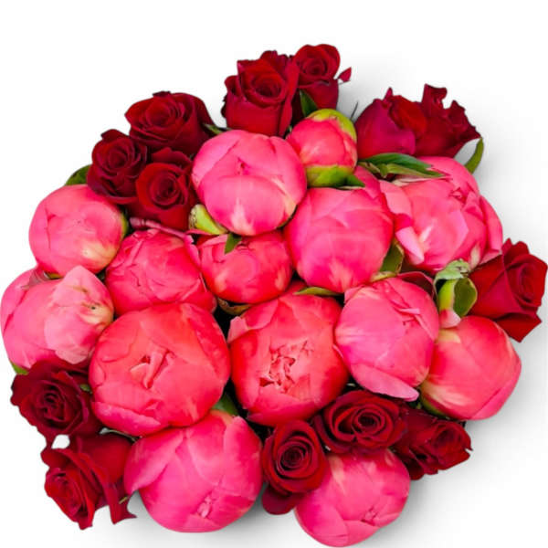Peony Whisper
