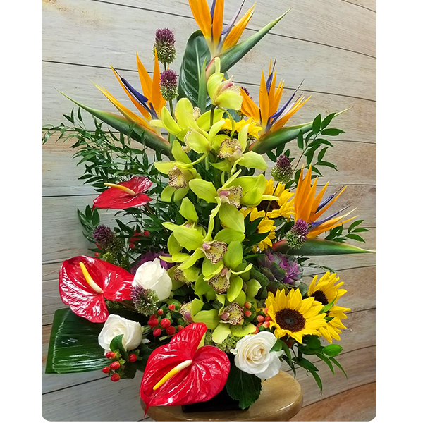 Tropical Paradise