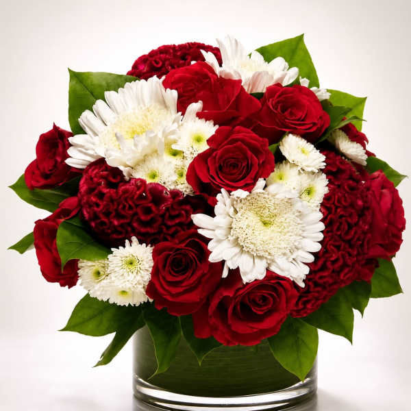 Crimson Velvet Garden
