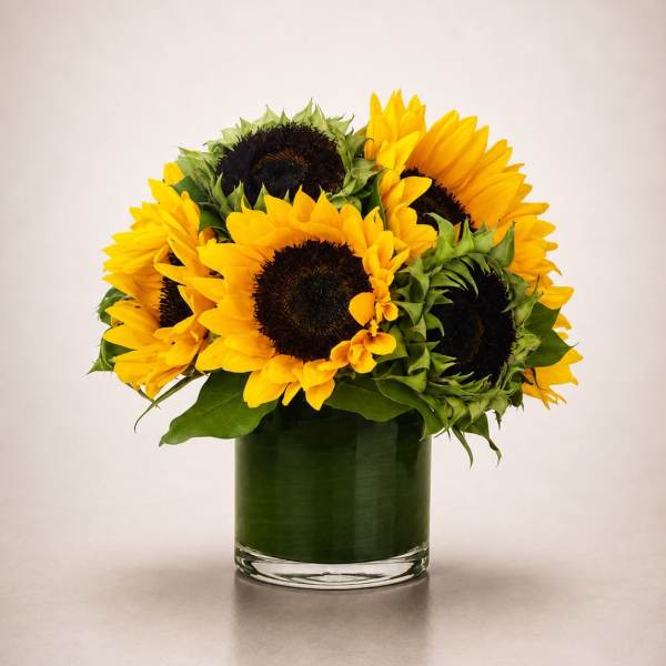 Golden Hour Sunflowers