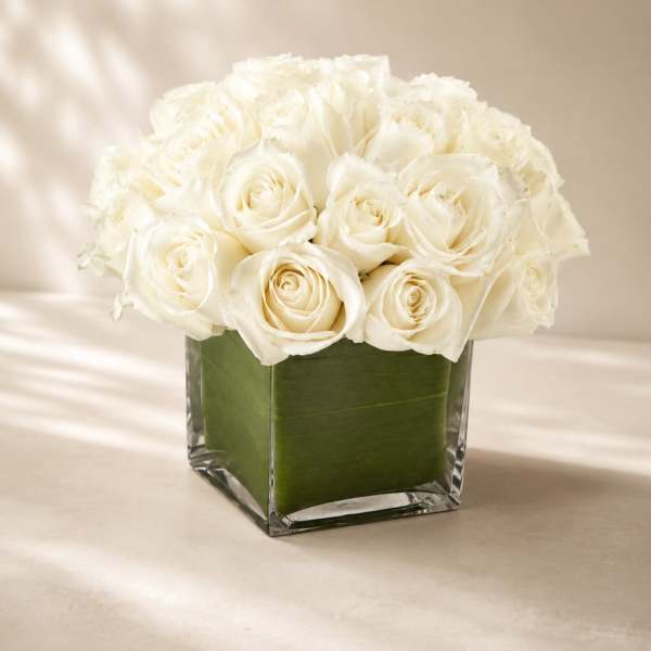 Pure Ivory Elegance