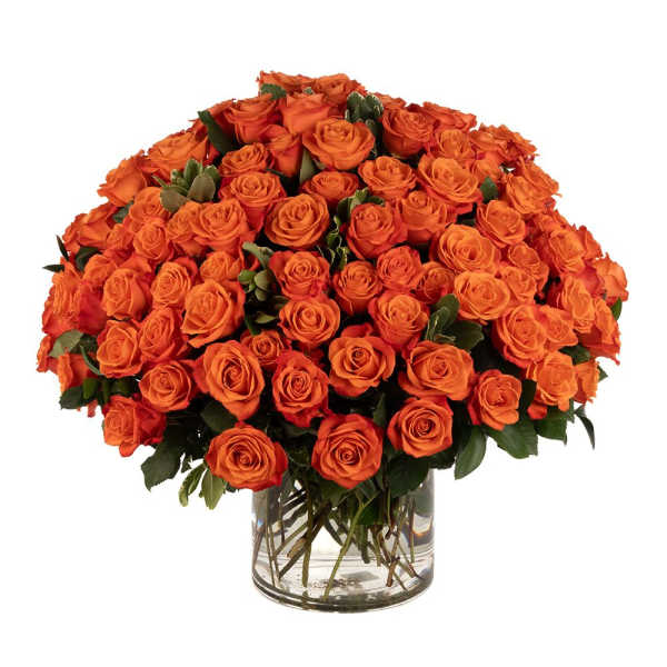 Large dome of orange roses arranged in a clear glass cylinder vase
