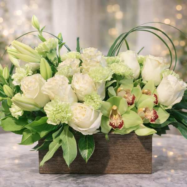 Luxe Botanical Bliss
