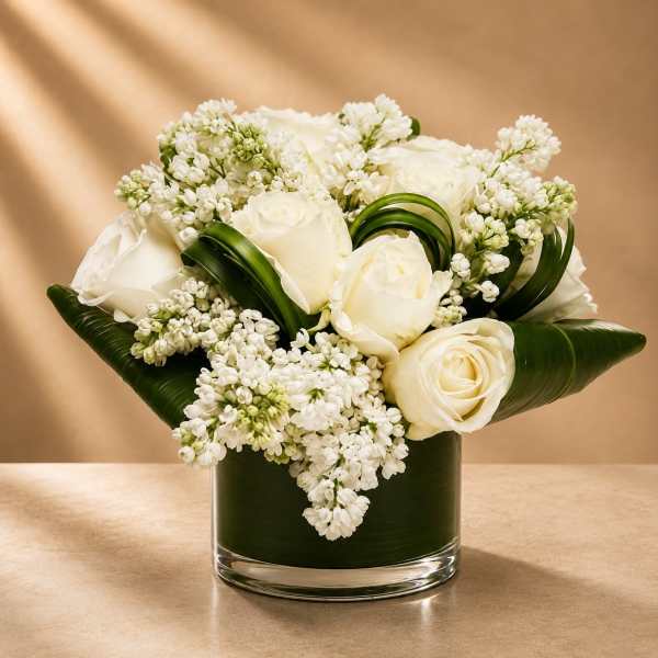 Blanc Étoile