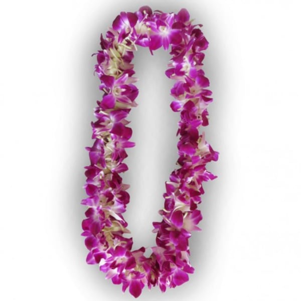 Purple orchid lei on a white background