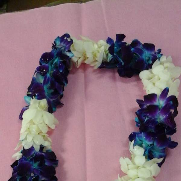 Purple and white flower lei on a pink background