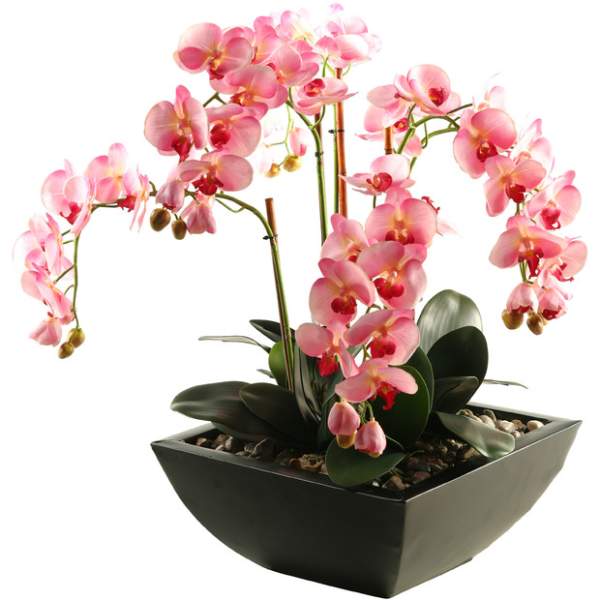 Pink orchids arranged in a black square planter with pebbles