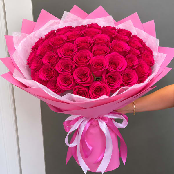 24 Hot pink roses wrapped