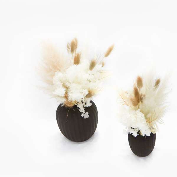 Two dried floral arrangements in dark vases on a white background