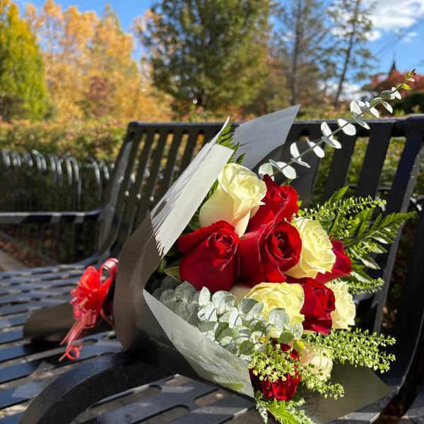 Bouquet of red and white roses wrapped in black paper