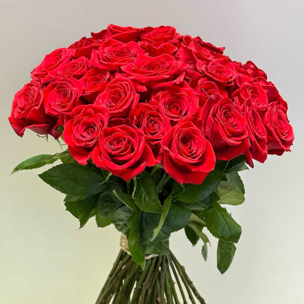 Large bouquet of red roses with long stems