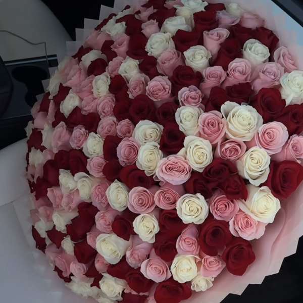 Large bouquet of red, pink, and white roses wrapped in pale pink paper