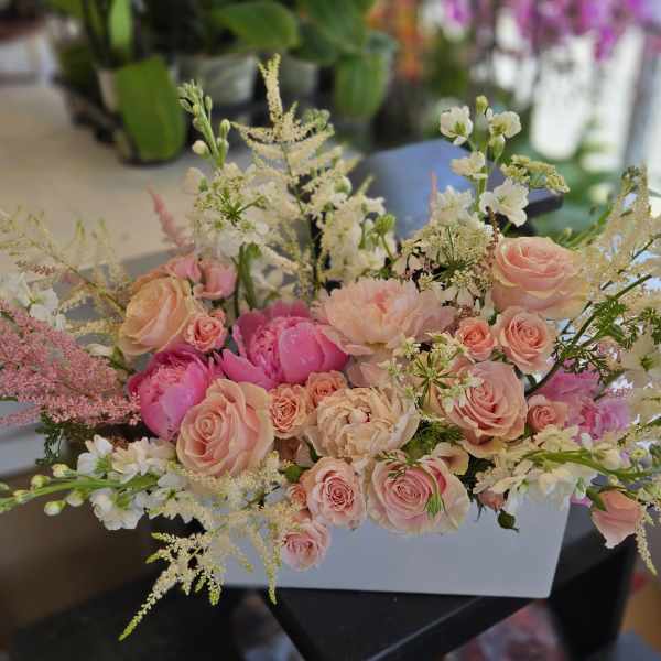 MD Arrangement - 1
