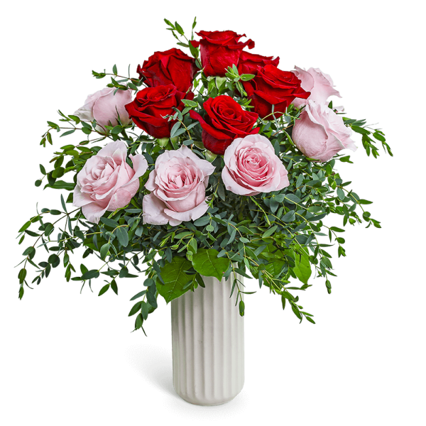 One Dozen Perfect Pink and Red Roses