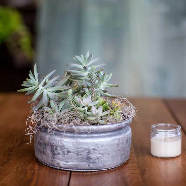 Succulent arrangement in a silver bowl beside a small candle jar