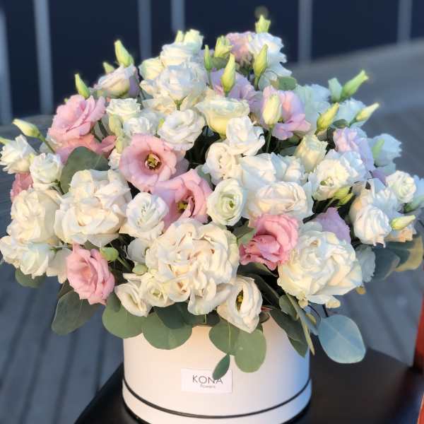 № 2