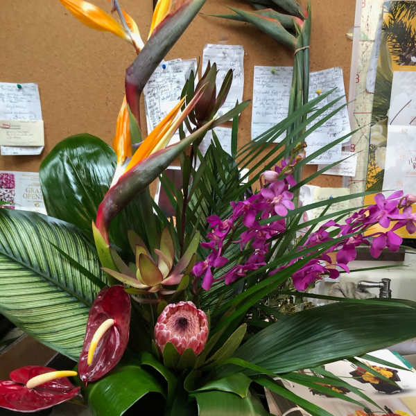 Tropical arrangement with bird of paradise, orchids, and anthuriums