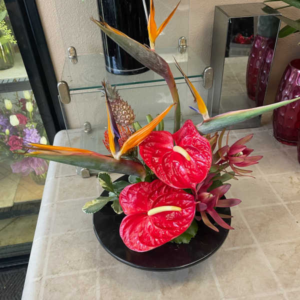Tropical arrangement with red anthuriums and bird of paradise in a black bowl