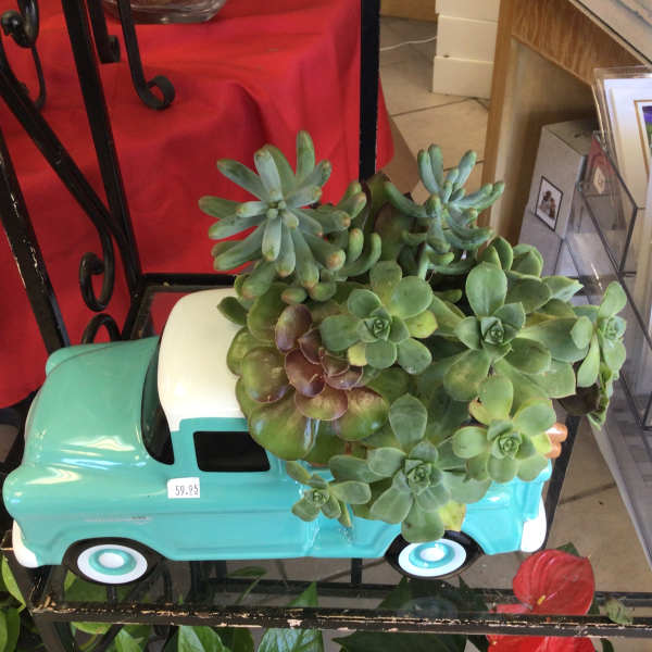 Chevy truck with succulents