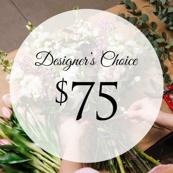 Designer's Choice-Standard
