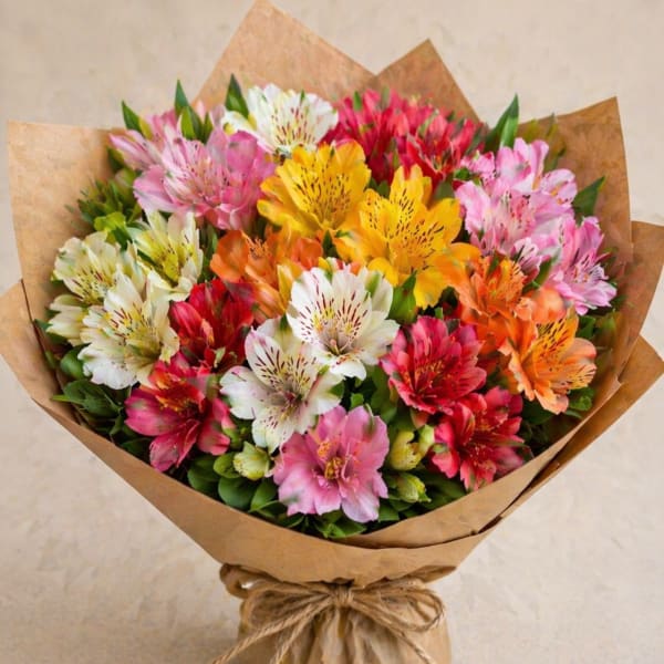 Color Pop Alstroemeria Bouquet