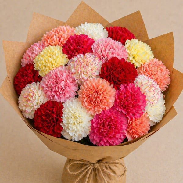 Carnation Mix Bouquet