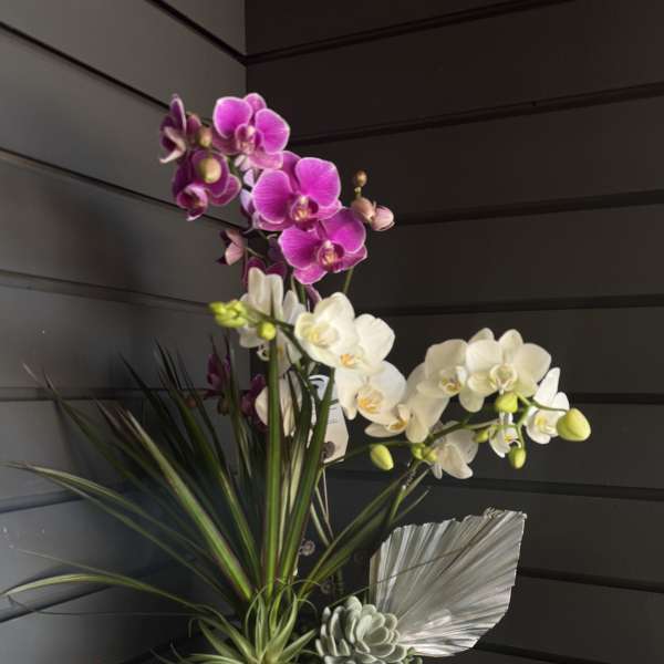 Orchid arrangement in a ribbed white vase with succulents and decorative leaves
