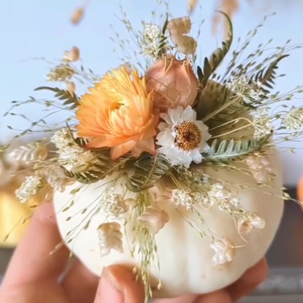 Mini Pumpkin