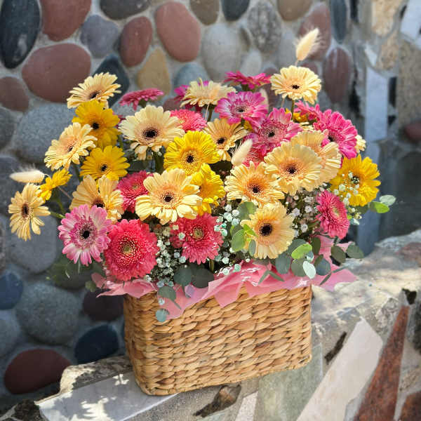 Summer Glow