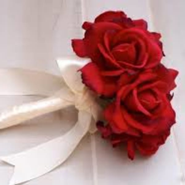 Red rose boutonniere with white ribbon on a light background