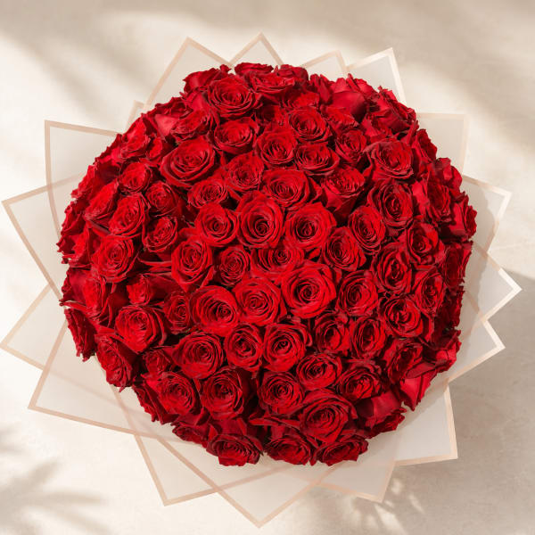 Felicitas' Grand Devotion – Red Ramo Buchón (100 Roses)