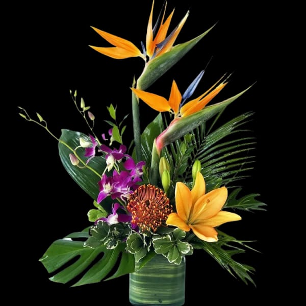 Tropical flower arrangement with orange bird-of-paradise and purple orchids in a glass vase