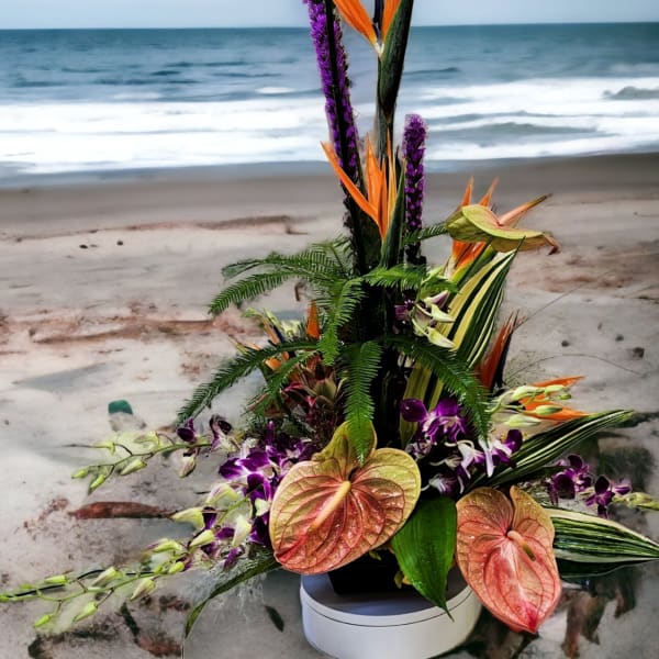 Tropical Paradise