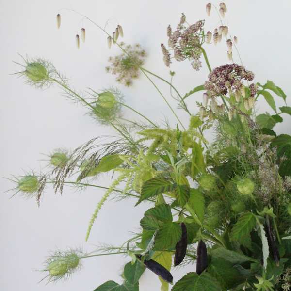 Meadow Greens