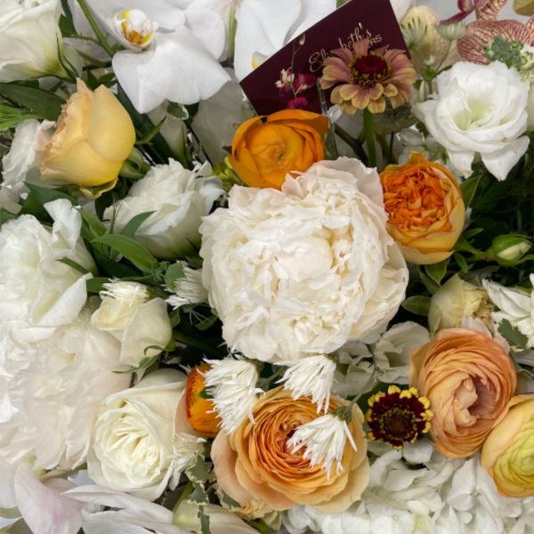 Designer's Choice - Fall Into Winter