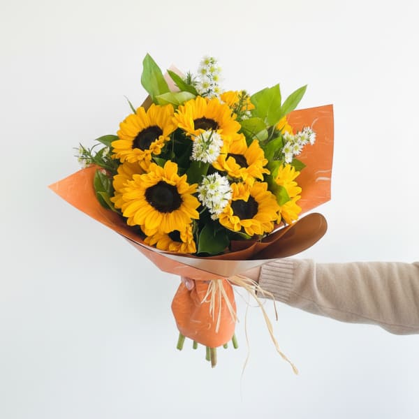 My Sunflower