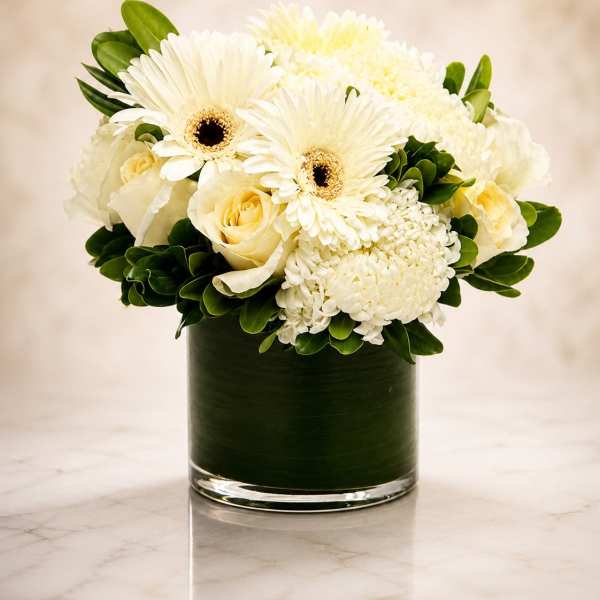 White Velvet Garden
