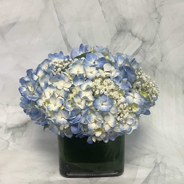 Blue and white hydrangea bouquet in a dark glass vase