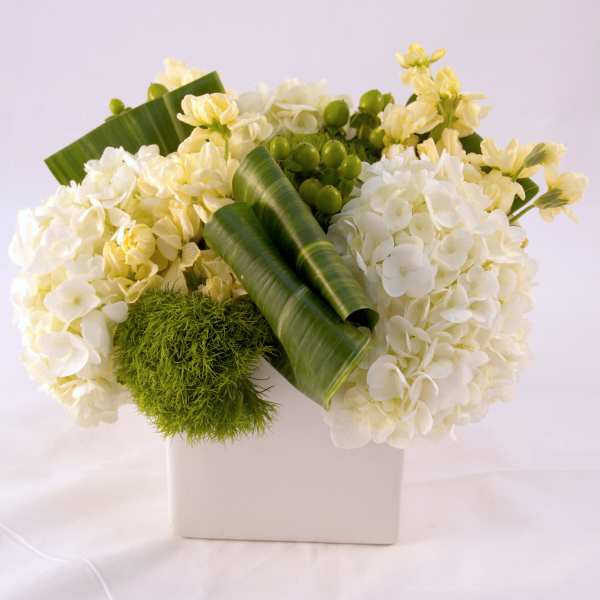 White hydrangea arrangement in a white square vase with green accents