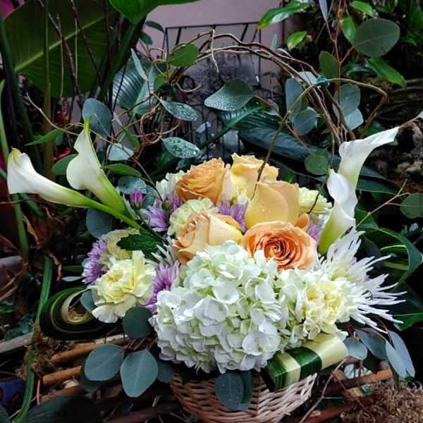 Basket arrangement with peach roses, white hydrangea, and white calla lilies