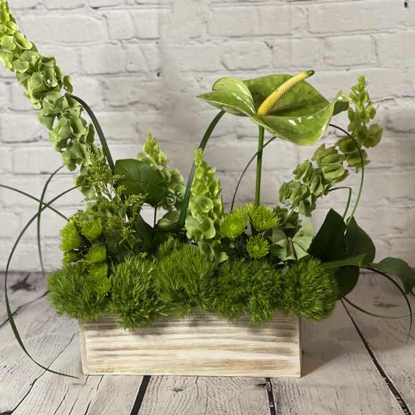 Green floral arrangement in a rectangular wooden planter with anthurium and tall spikes