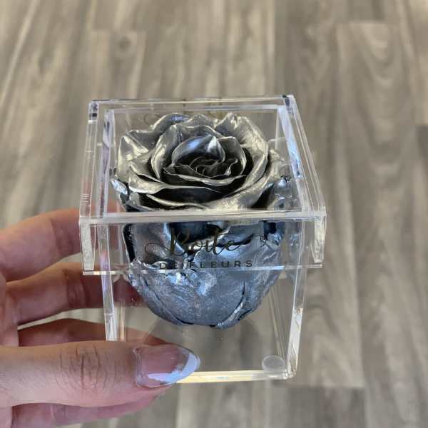 Single metallic silver rose in a clear acrylic box