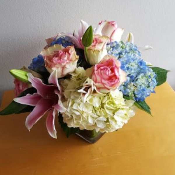 All in Bloom 26